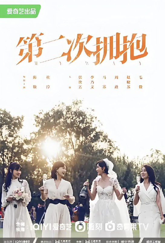第二次拥抱 (31集) 陈数&杜淳&张歆艺 | 国产剧