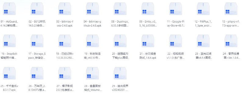 20251113破解软件