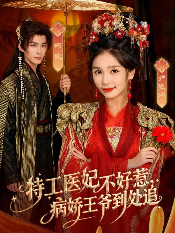 2025年11月19日 短剧合集目录11