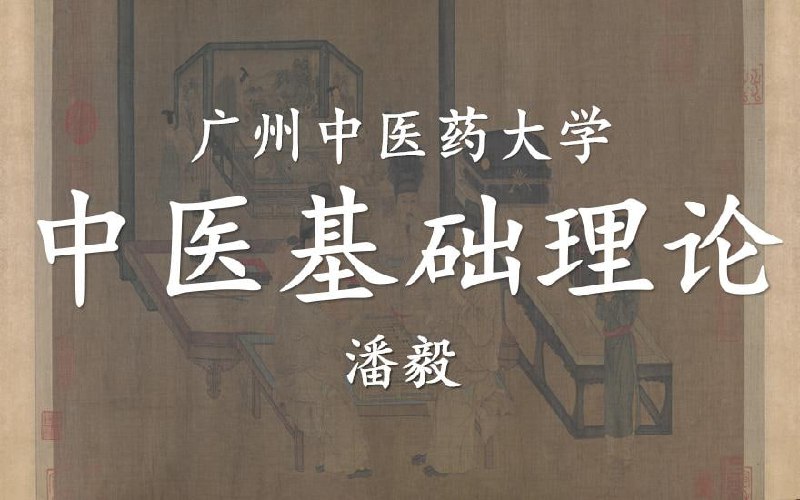 中医基础理论潘毅主讲-广州中医药大学(全111讲·完整版)