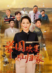 举国欢宴难归家（40集）|短剧