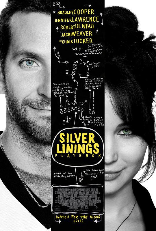 乌云背后的幸福线 Silver Linings Playbook (2012) 1080p 原盘Remux 中文字幕 【26.51GB】已刮削