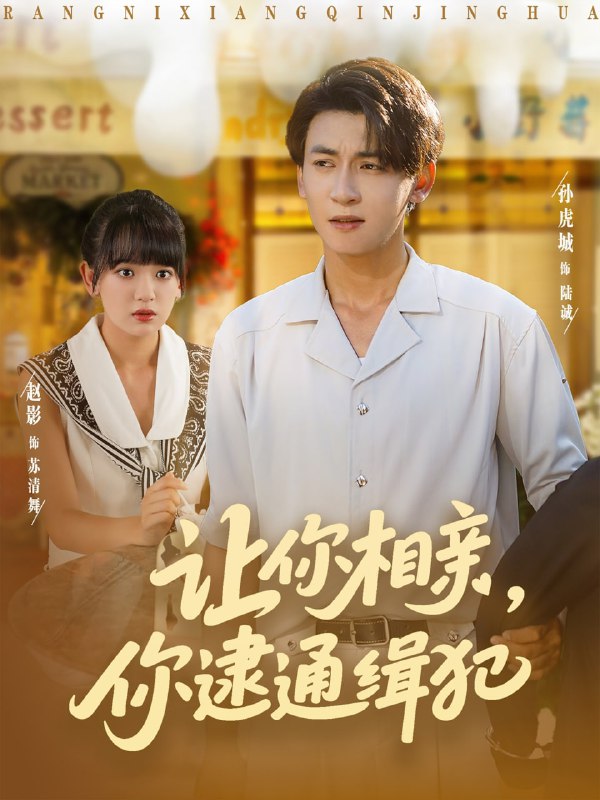让你相亲你逮通缉犯（86集）赵影&孙虎城|短剧