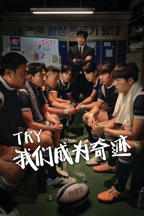 TRY我们成为奇迹(2025)1080p S01E01 - E11 内封简繁