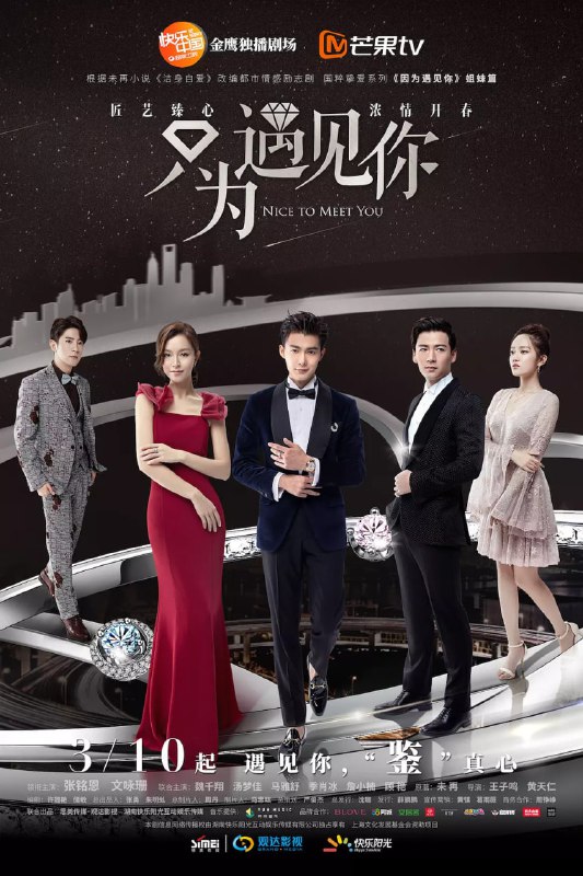 只为遇见你 (2019)