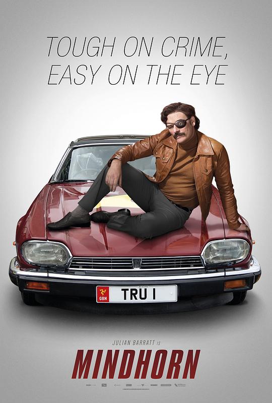 蛮好侦探 Mindhorn (2016) 1080p 原盘Remux 中文字幕 【22.85GB】已刮削