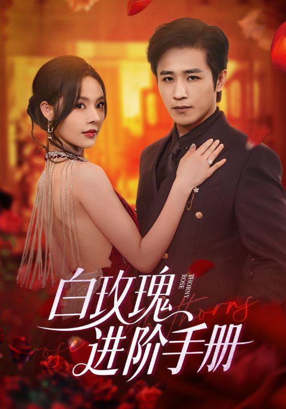 白玫瑰进阶手册（64集）古铭瀚＆赵西
