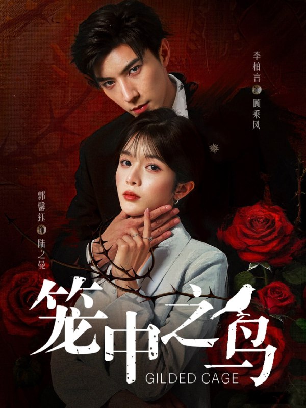 笼中之鸟(70集)李柏言&郭馨钰