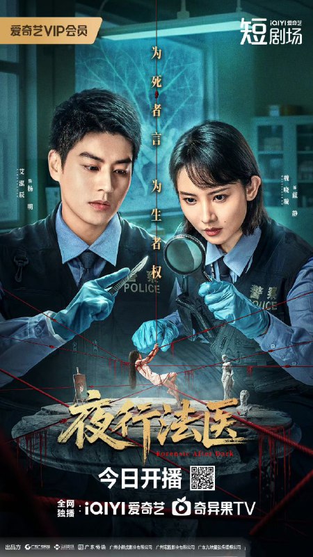 夜行法医（2025）【4K 更新24】【国语中字】