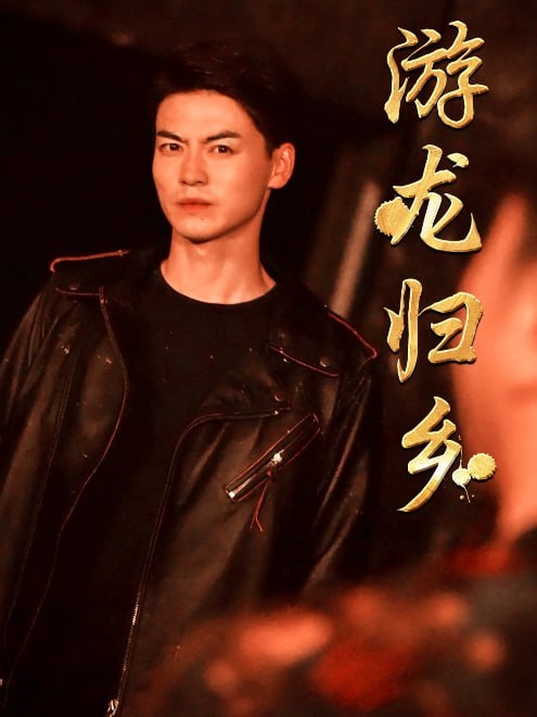 游龙归乡(60集)【短剧】