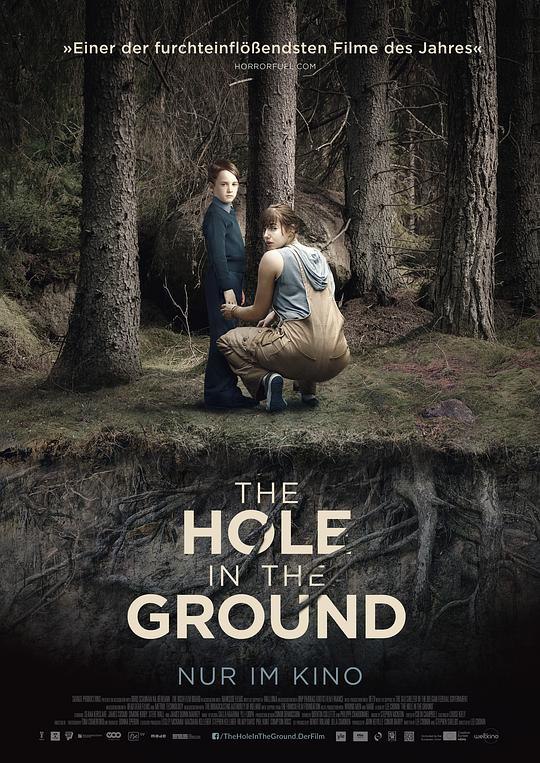 地面之洞 The Hole in the Ground (2019) 1080p 原盘Remux 【23.97GB】已刮削