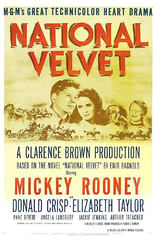 玉女神驹 National Velvet (1944)