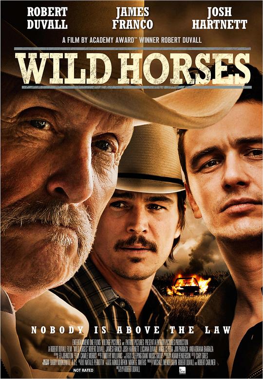 野马 Wild Horses (2015) 1080p 原盘Remux 中文字幕 【17.80GB】已刮削