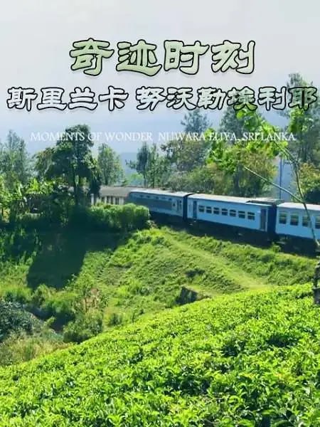奇迹时刻：斯里兰卡努沃勒埃利耶 MOMENTS OF WONDER:Nuwara Eliya (2019)