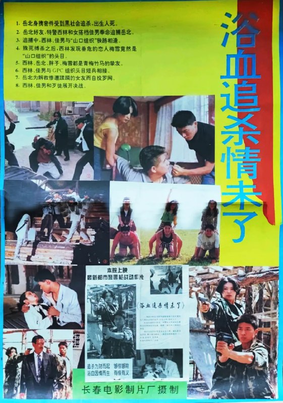 浴血追杀情未了 (1995)