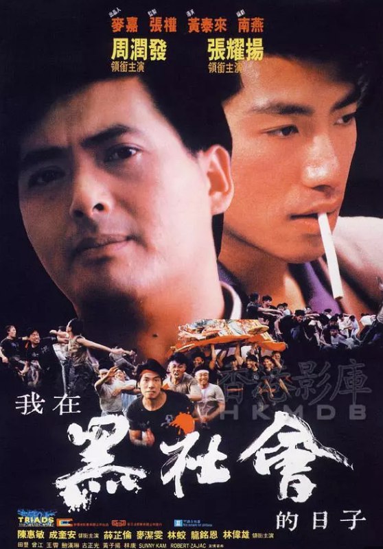 我在黑社会的日子 1080p remux(1989)内挂简繁字幕(18.9G)