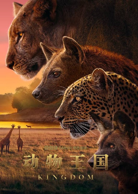 动物王国（2025）4K HQ 高码率 国英音轨 内嵌简英 S01E01-E04