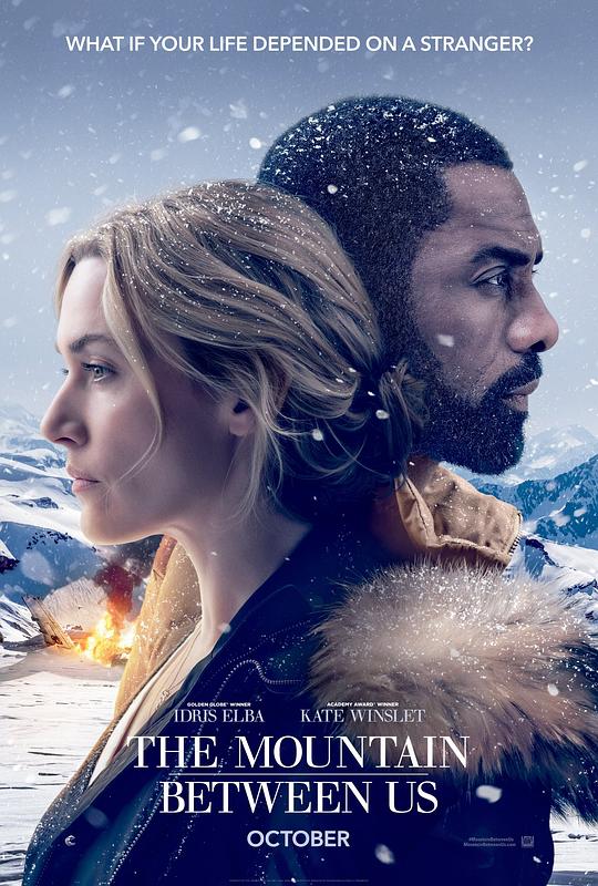 远山恋人 The Mountain Between Us (2017) 1080p 原盘Remux 中文字幕 【22.48GB】已刮削
