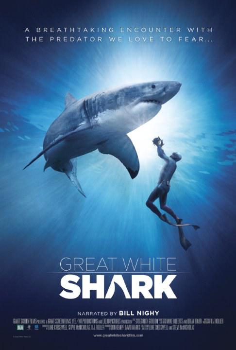 大白鲨 Great White Shark (2013) 4K/2160p 原盘Remux 中文字幕 【19.33GB】已刮削