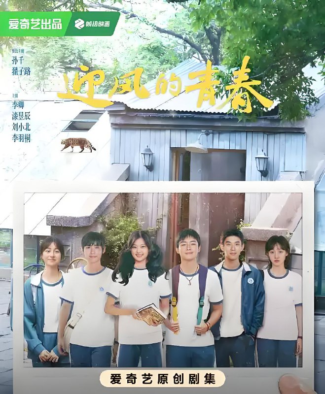 迎风的青春 (30集) 孙千&翟子路 | 国产剧