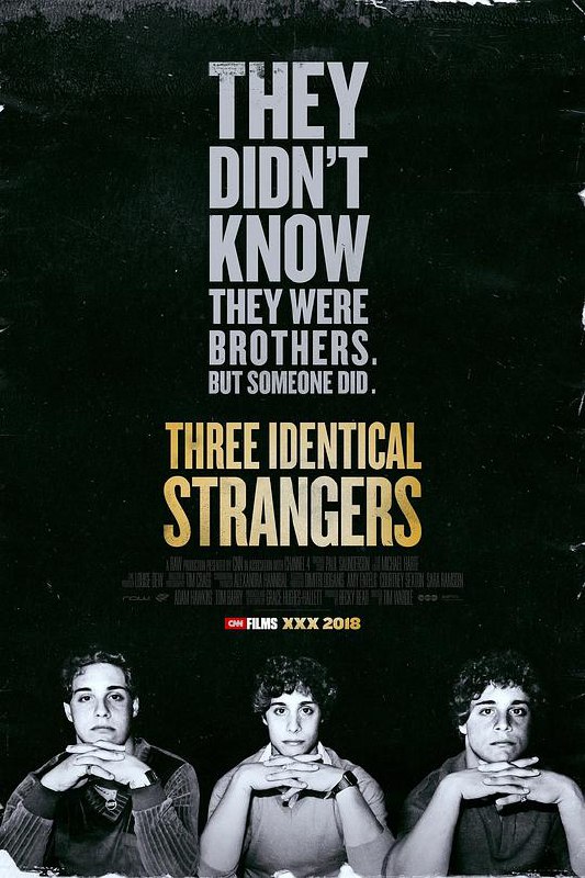 孪生陌生人 Three Identical Strangers (2018) 1080p 原盘Remux 中文字幕 【16.57GB】已刮削