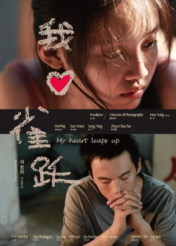 我心雀跃 (2016)