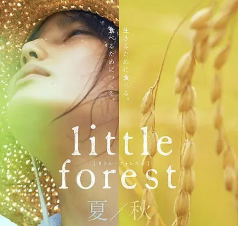 小森林夏秋篇 (2014) 1080P 中字内嵌字幕