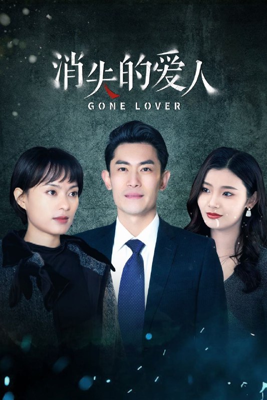 消失的爱人 (2025) 1080P SDR 更新EP16