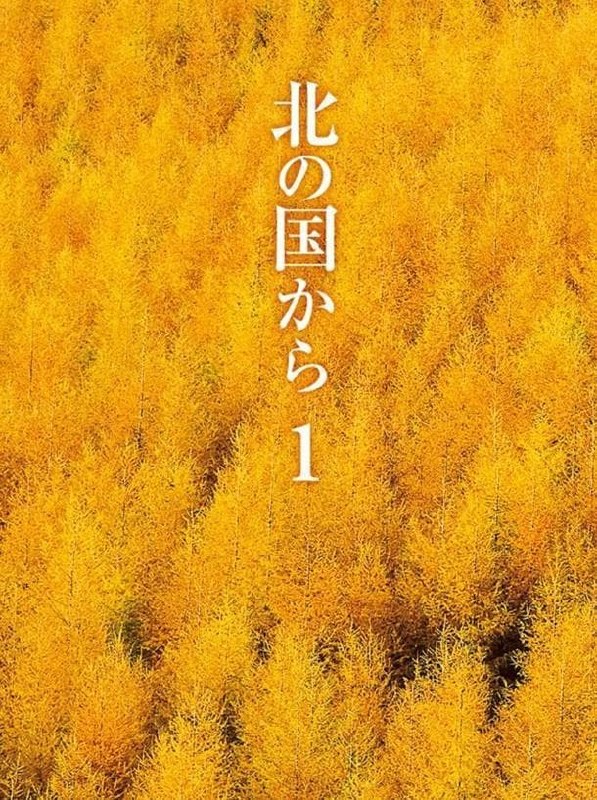 北国之恋 全24集+特别篇 日语中字 1981 720P【日剧】