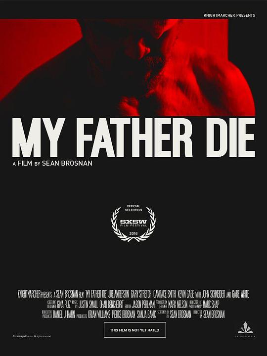 弑父之殇 My Father, Die (2016) 1080p 原盘Remux 中文字幕 【17.20GB】已刮削
