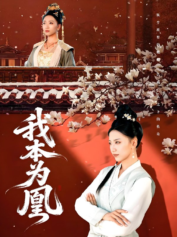 我本为凰 (82集) 傅宇航&刘继徽 | 短剧