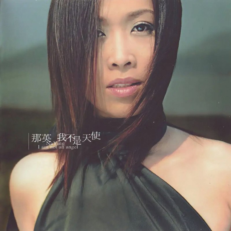 那英 合集 FLAC 分轨