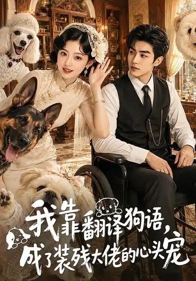 我靠翻译狗语，成了装残大佬的心尖宠&我靠翻译狗语成了装残大佬的心尖宠（80集） AI短剧