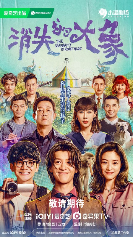 消失的大象 (2024)
