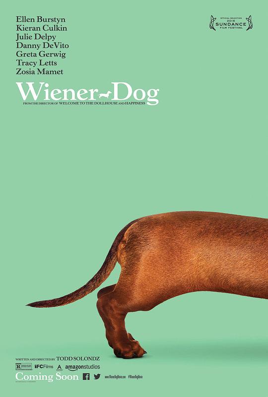 腊肠狗 Wiener-Dog (2016) 1080p 原盘Remux 中文字幕 【21.10GB】已刮削