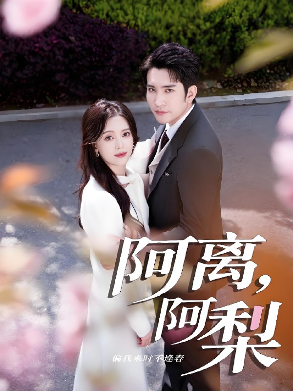 阿离阿梨 (60集) 王已歌&唐敬 | 短剧