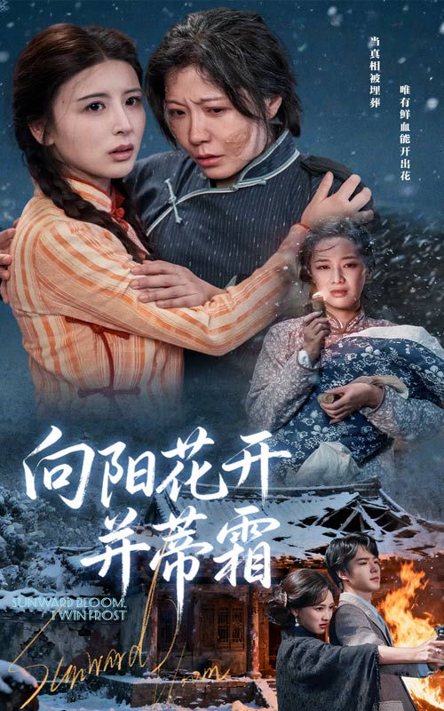 向阳花开并蒂霜（60集）燕颢元&李沁霏|短剧